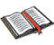 Scripture Reading